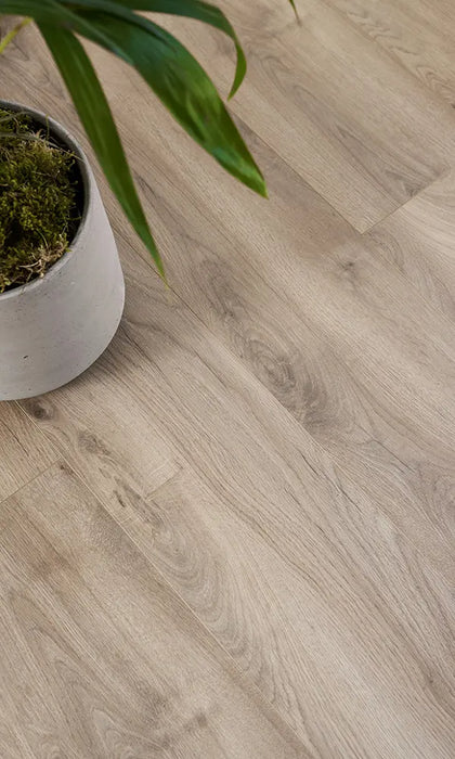 Designgulv - Organic Silent - White Oak 354
