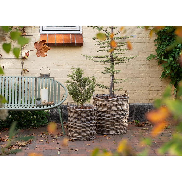 Indo kurve - Kubu Rattan Natur Sæt af 2