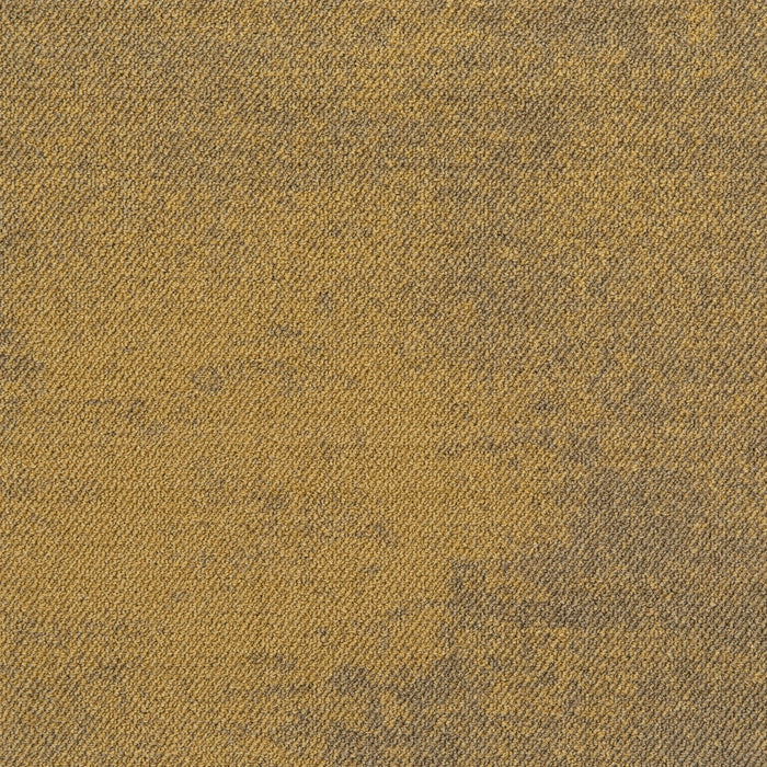 Tæppefliser Haze LP - 224