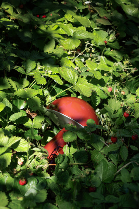 Mush Transportabel Lampe Rød