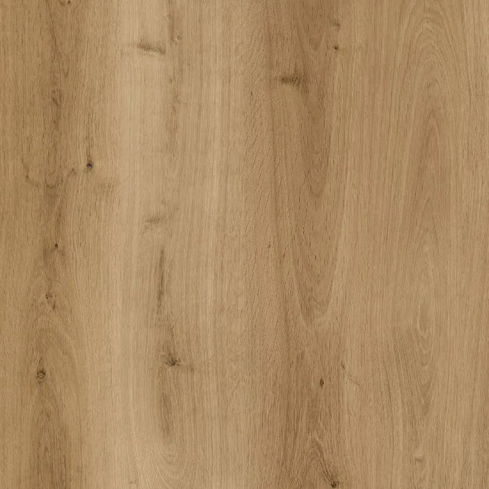 LVT Dryback  - Lys Natur 15185