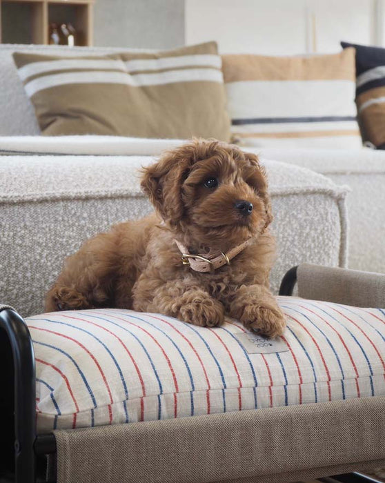 Milo Hundekurv - Mellem