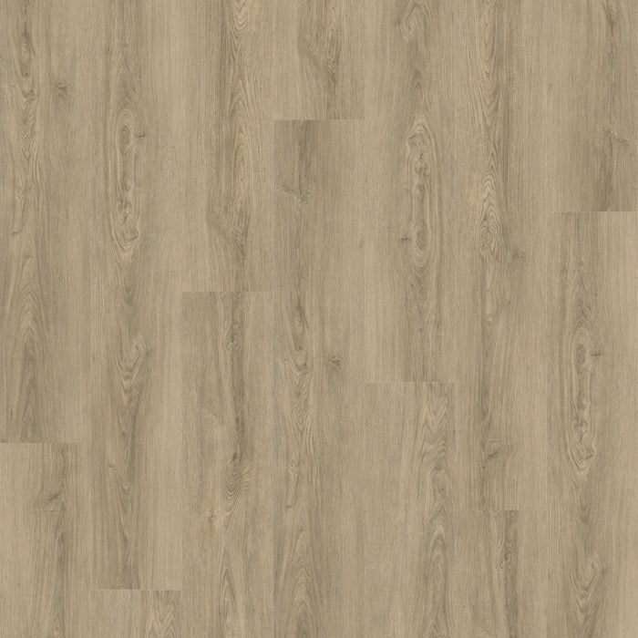 Elite LVT Klik M. Kork - Cuba Eg