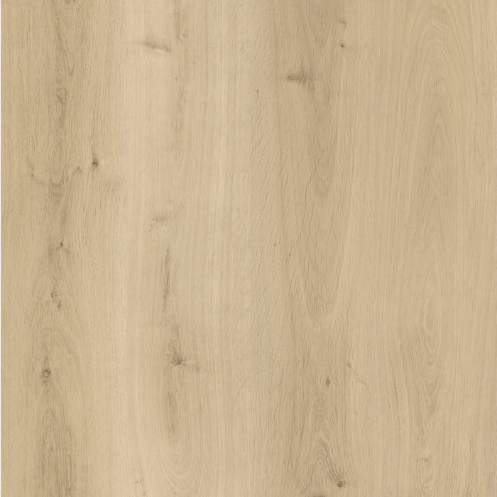 LVT Looselay - Lys Ask 15326