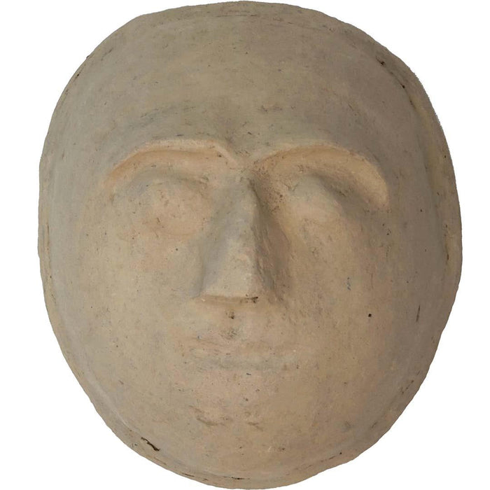 Cosmos Facemache Big