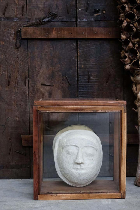 Cosmos Facemache Big