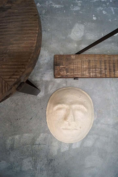 Cosmos Facemache Big