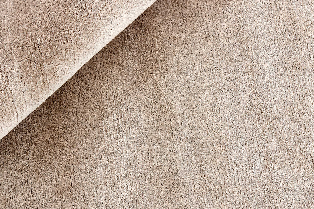 Northern Light - Oyster