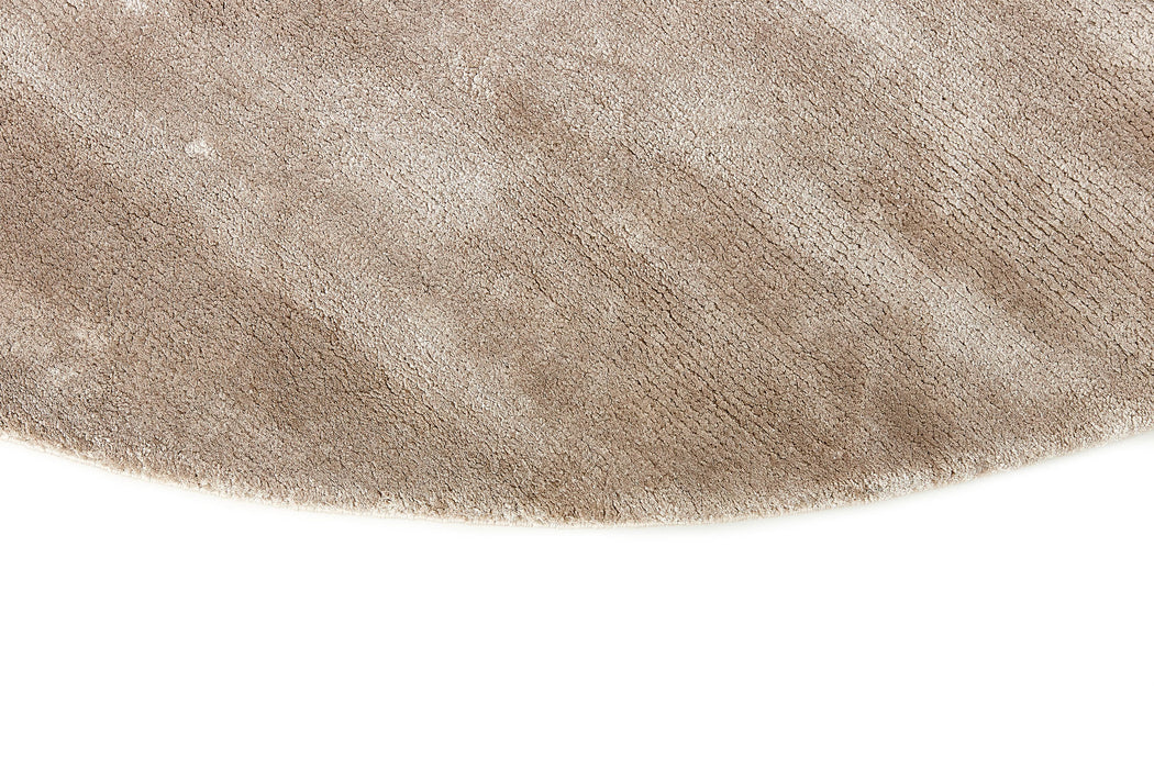 Northern Light - Oyster