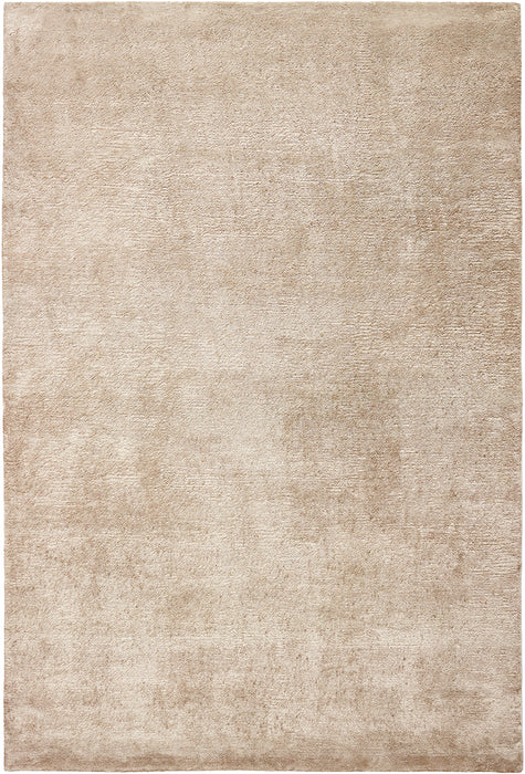 Northern Light - Oyster